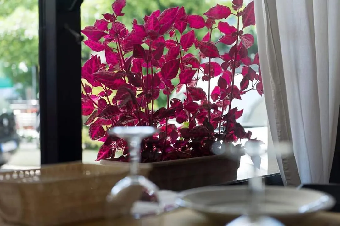 Hotel Annarita Rimini